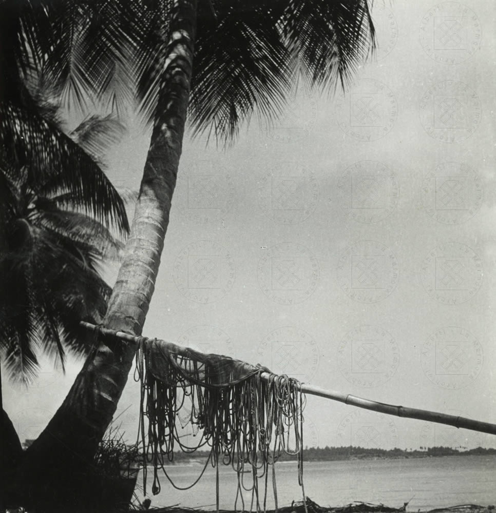 Brasile, Tobago, maggio 1938, scatto di Alberti